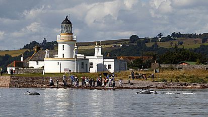 Dolphin watching at Chanonry Point